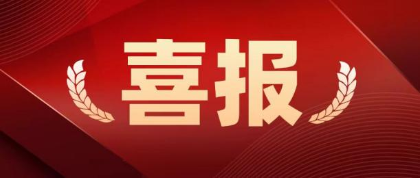 热烈祝贺中共上海市奉贤区心理咨询师协会支部委员会正式成立！